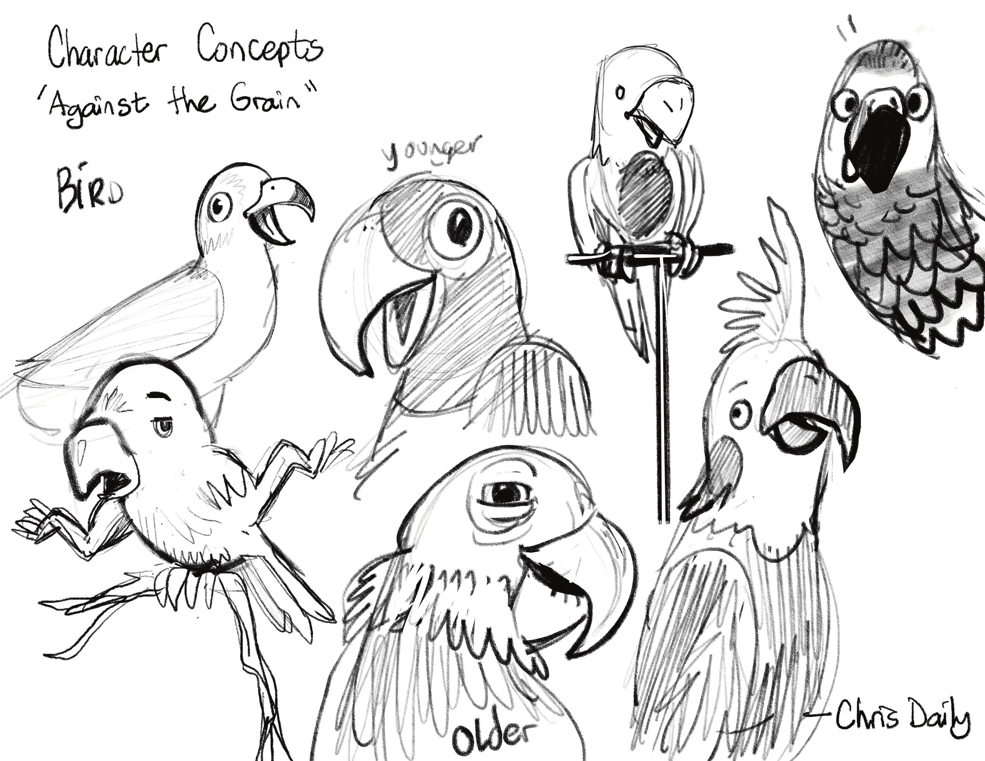 Bird character concepts from A Chew Story by Chris Daily